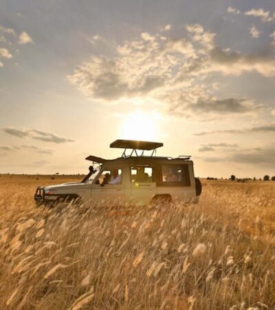 4 Days Naivasha, Nakuru and Maasai Mara Safari