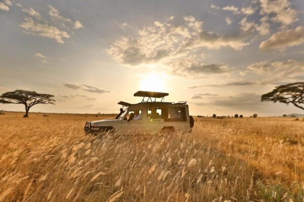 4 Days Naivasha, Nakuru and Maasai Mara Safari