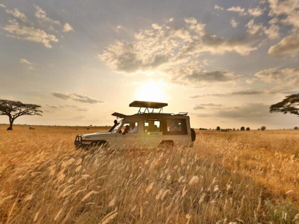 4 Days Naivasha, Nakuru and Maasai Mara Safari