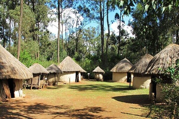 1-Day Bomas of Kenya Tour