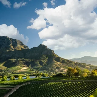 5-Day Cape Town Adventure: From Kenya to the Mother City