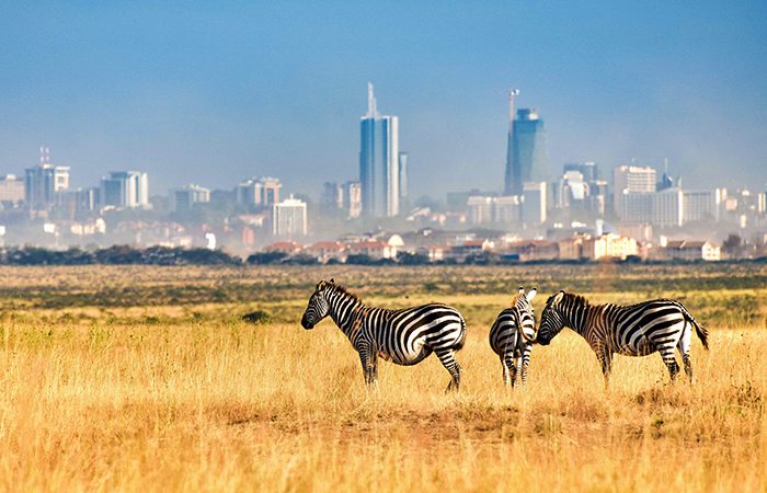 Nairobi-National-Park-700x450-1.jpg