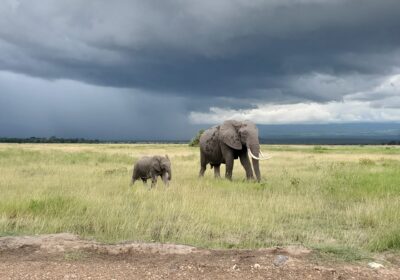 BEST THINGS TO DO IN KENYA – THE ULTIMATE TRAVEL GUIDE