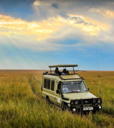 11 Days Combined Kenya – Tanzania Driving Tour