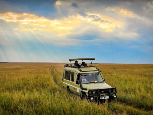 11 Days Combined Kenya – Tanzania Driving Tour