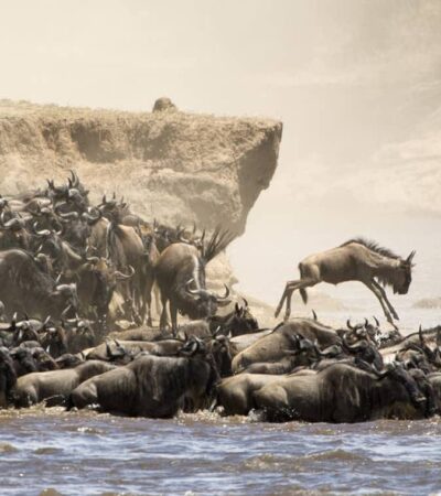 4 Days Maasai Mara Safari