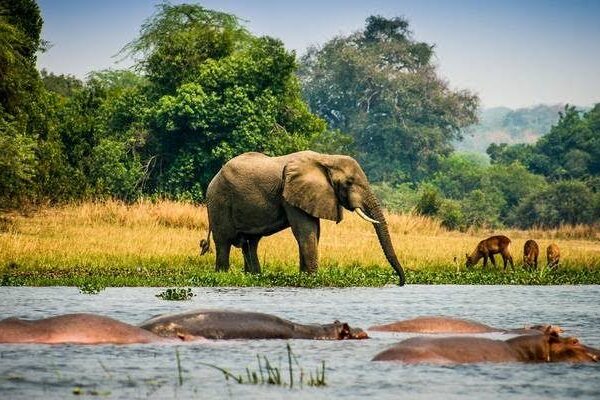 3 days Uganda Wildlife Safari