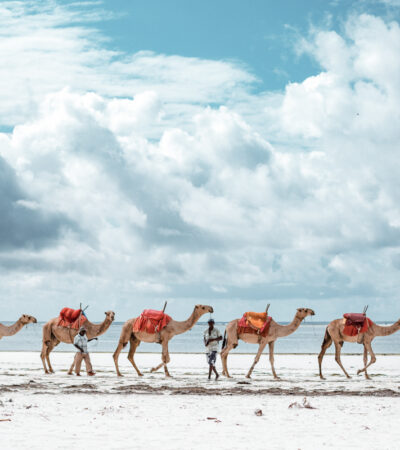 4 Day Diani Beach Adventure