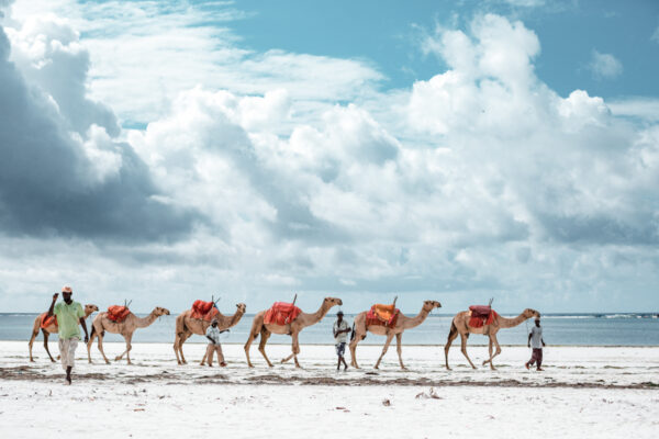4 Day Diani Beach Adventure