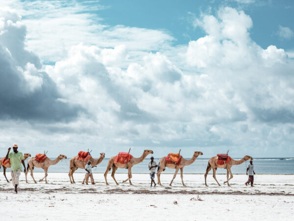 4 Day Diani Beach Adventure