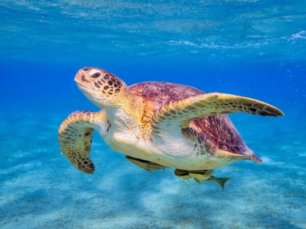4 Day Zanzibar Tour Itinerary