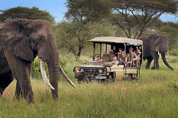 10 Day Remarkable Big Five Safari | Mid-Range