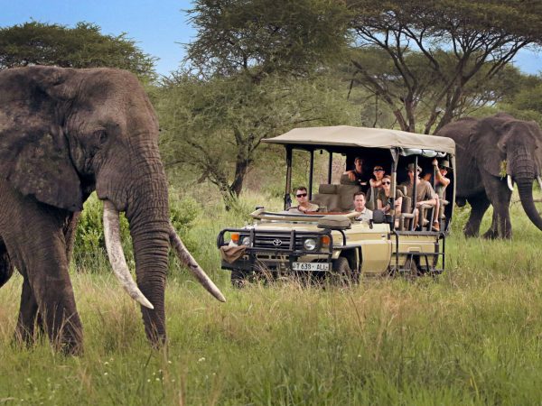 10 Day Remarkable Big Five Safari | Mid-Range