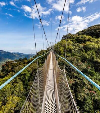 4-day Akagera National Park & Nyungwe Forest Safari