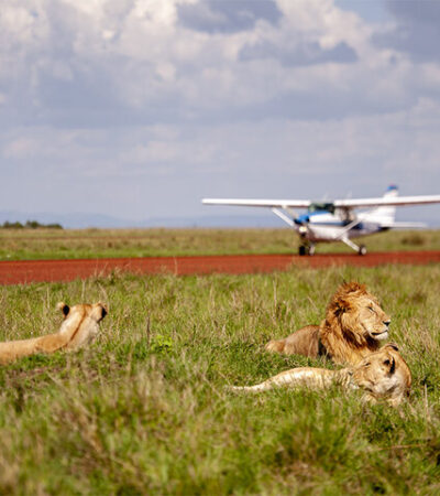 3-Day Luxurious Fly In And Out Masai Mara N Reserve