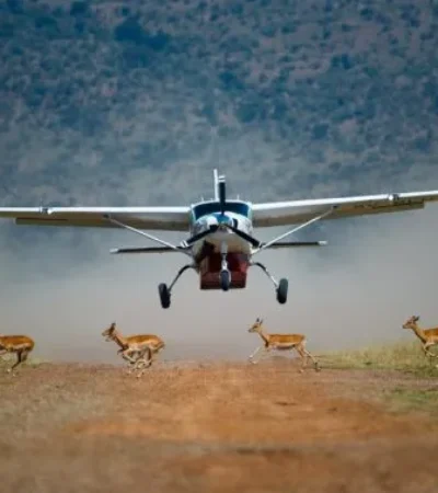 3-Day Samburu Flying Safari Tour