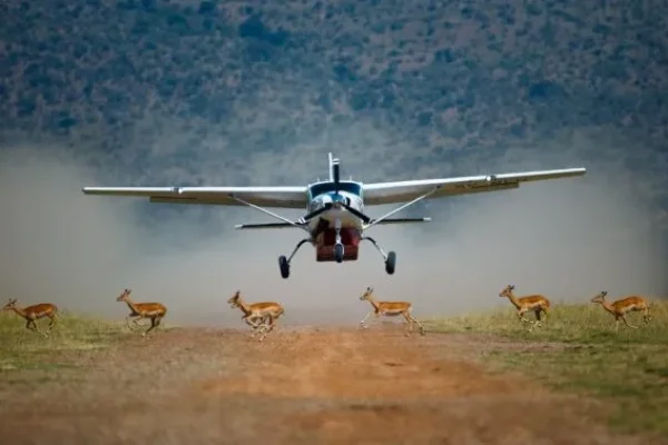 3-Day Samburu Flying Safari Tour