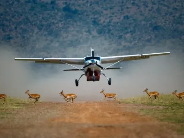 3-Day Samburu Flying Safari Tour